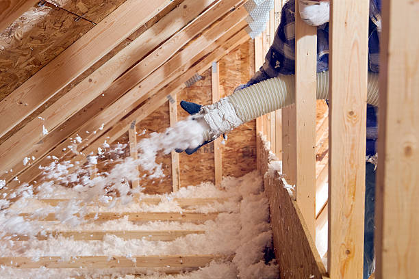 Types of Insulation We Offer in Butte, AK